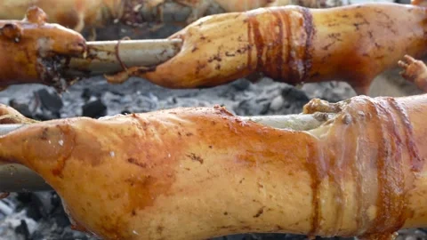 Roasting guinea pigs on a spit over coals 스톡 동영상 310191835