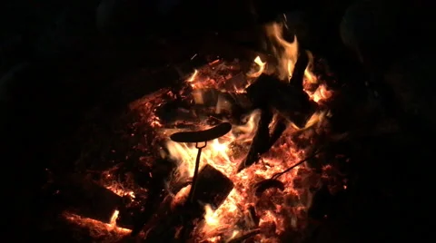 Roasting hot dogs on a campfire Stock Footage 67525441