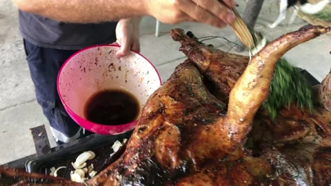 Roasting a lamb on a spit basting it with a rosemary brush 4k HD Vidéo 194997393