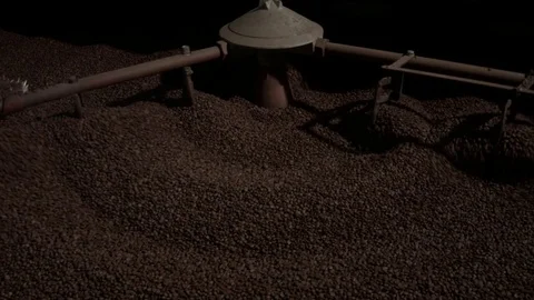 Roasting machine process Stock Footage 84647696