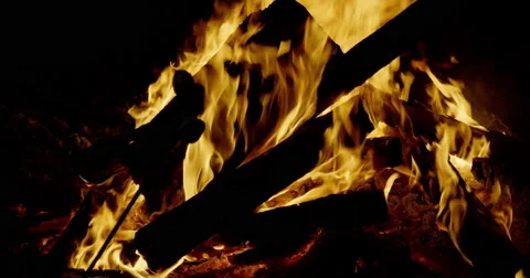 Roasting marsh mellows over a campfire Video stock 68928822