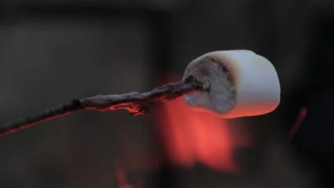 Roasting a marshmallow on a branch in the campfire Stock Footage 153356752