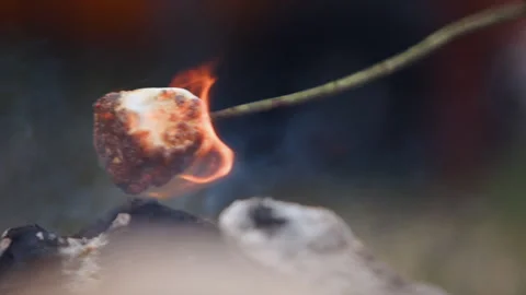 Roasting Marshmallow on Campfire 스톡 동영상 297637130