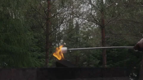 Roasting Marshmallow on Campfire Grill in Forest Outdoor Picnic Stock Footage 328231643