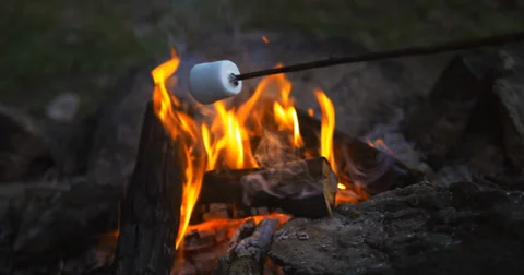 Roasting marshmallow Stockbeeldmateriaal 38844541