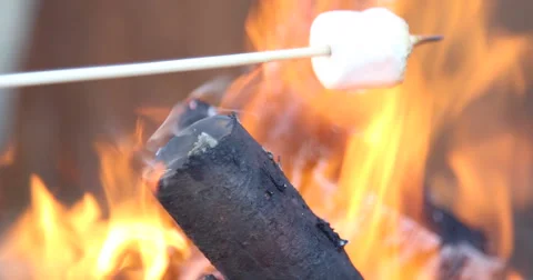 Roasting Marshmallow Stock Footage 56848150