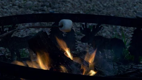 Roasting a marshmallow over a camp fire Stock Footage 91983062