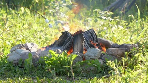Roasting marshmallow over the camp fire in UHD Video stock 114786101