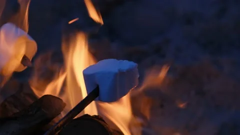 Roasting Marshmallow Over the Campfire at Sea Beach Stock Footage 135035345