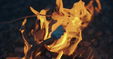 Roasting a marshmallow on a stick in a camping bone fire flames Stock Footage 225908709