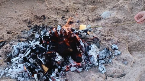 Roasting a marshmallow on a stick over a campfire on a sandy beach Stock Footage 336326743