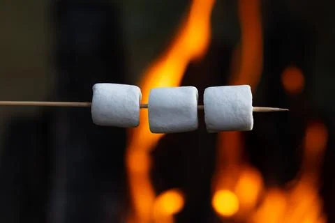 Roasting marshmallow on a stick Stock Photos