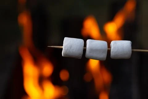 Roasting marshmallow on a stick Stock Photos