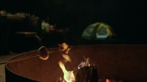 Roasting Marshmallows and Camp Fire at Night Stock Footage 116443921