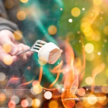 Roasting marshmallows at bonfire. Having fun at camp fire. Camping in fall .. Stock Photos