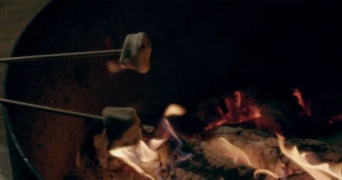 Roasting Marshmallows At Camp Fire Stock Footage 116010112