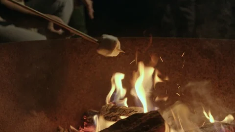 Roasting Marshmallows At Camp Fire Stock Footage 116444191