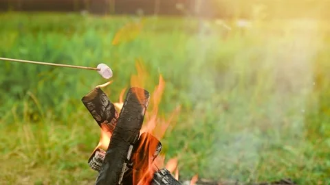Roasting marshmallows on a campfire during camping in nature. Stock Footage 135398995