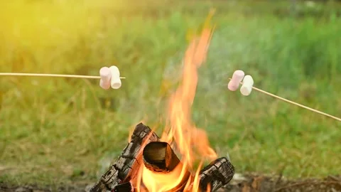 Roasting marshmallows on a campfire during camping in nature. Stock Footage 135399039