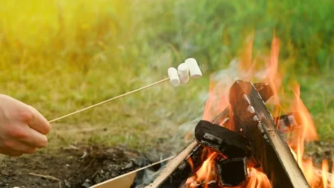 Roasting marshmallows on a campfire during camping in nature. Stock Footage 135399072