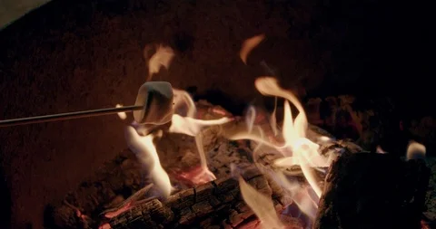 Roasting Marshmallows at Campfire Stock Footage 116010068