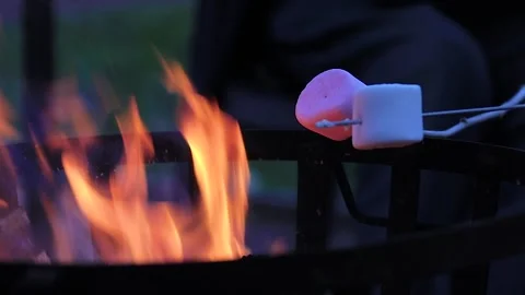 Roasting marshmallows on a campfire Stock Footage 152973632