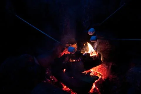 Roasting marshmallows at a campfire Foto stock
