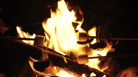 Roasting marshmallows on fire 4K Stock Footage 137491802