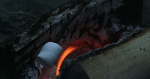 Roasting marshmallows on fire Video stock 39553147