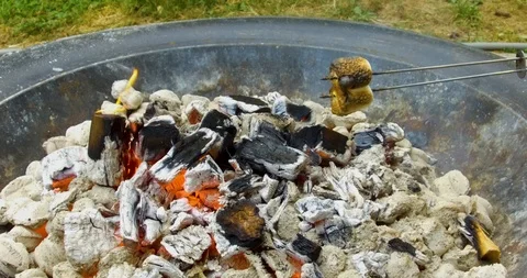 Roasting marshmallows in a fire pit on a warm summer evening Видео 91839337