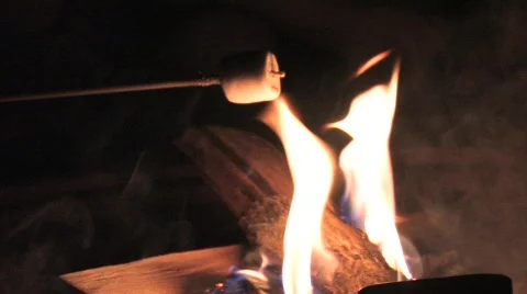 Roasting marshmallows Video stock 451046