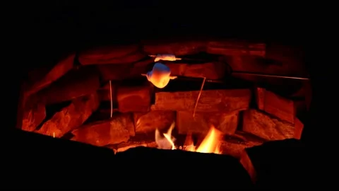 Roasting Marshmallows Stock Footage 134822423