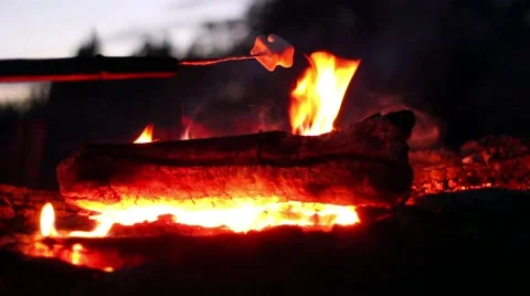 Roasting Marshmallows Over A Campfire 스톡 동영상 42888338