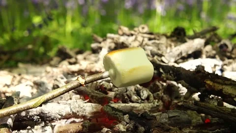 Roasting Marshmallows over the Campfire Video stock 306516955