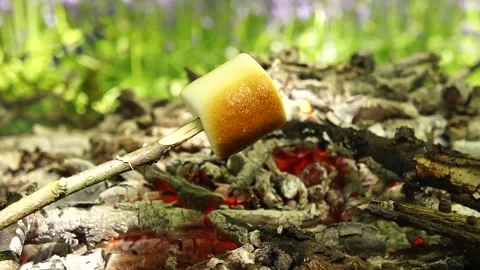 Roasting Marshmallows over the Campfire Stock Footage 306516989
