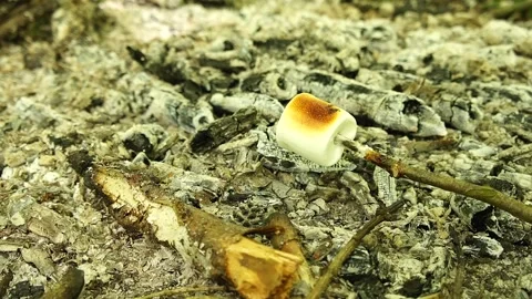 Roasting Marshmallows over the Campfire Stock Footage 306517151