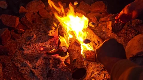 Roasting Marshmallows Over a Campfire in the Great Outdoors Stock Footage 340108919