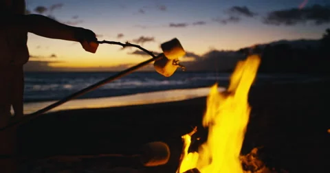 Roasting Marshmallows over Fire Stock Footage 65886979
