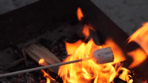 Roasting marshmallows over a grill fire at sunset Vidéo 301919032