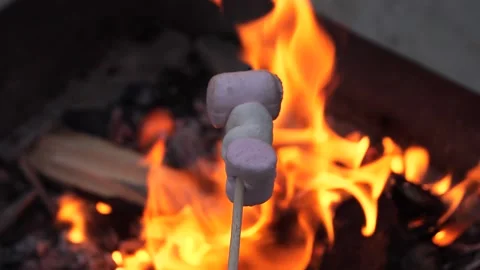 Roasting marshmallows over a grill fire at sunset Stock-Footage 301920267