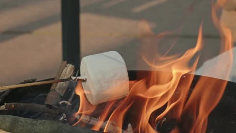 Roasting Marshmallows Over a Hot Campfire Stock Footage 320261484
