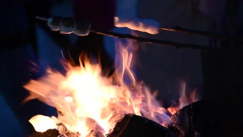 Roasting marshmallows over vibrant campfire at night during winter camping .. Stock Footage 339118810