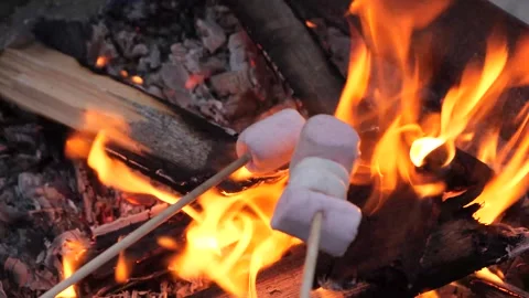 Roasting marshmallows over a warm grill fire on a cool evening Vidéo 301920160