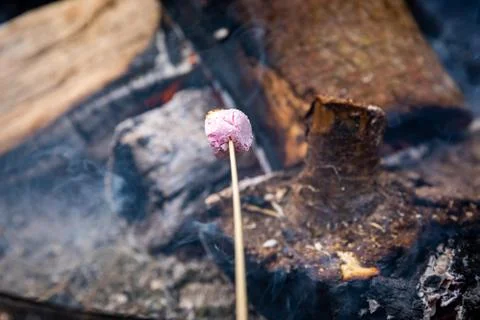 Roasting Marshmellows Stock Photos