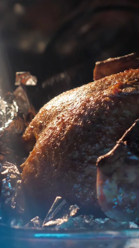 Roasting meat in the oven for a special dinner and holiday celebration.  Stock Footage 309616004