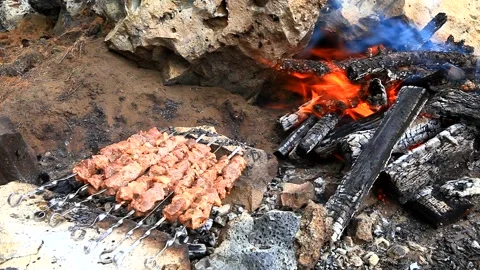 Roasting meat over a fire on the nature. Cooking food in a hike Stock Footage 87640247