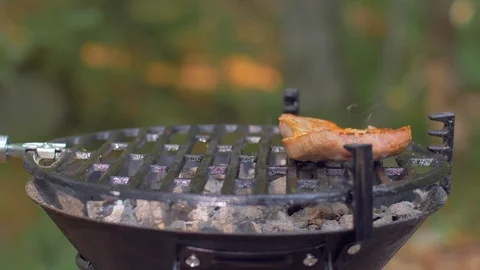 Roasting meat on a stone of fire Stock Footage 113274865
