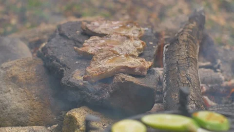 Roasting meat on a stone of fire Stock Footage 113274878