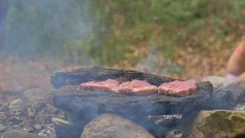 Roasting meat on a stone of fire Stock Footage 113274906
