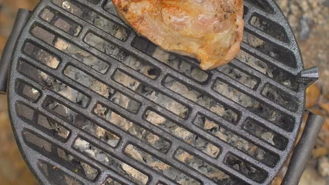 Roasting meat on a stone of fire Stock Footage 113274982
